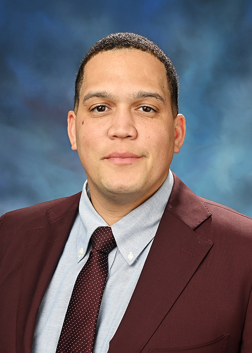 Photograph of Senator  Robert Peters (D)